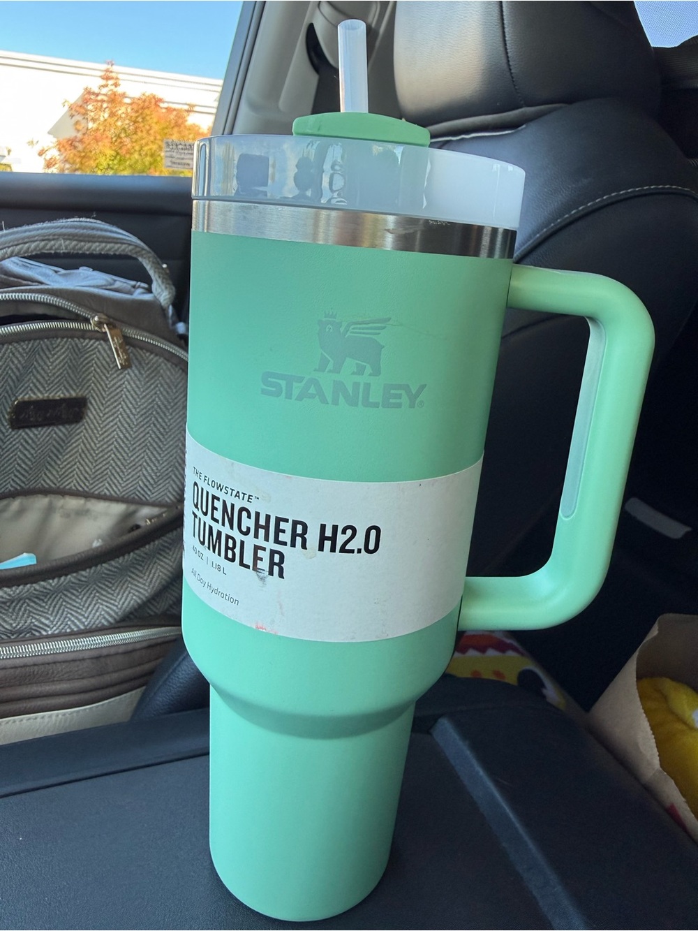 Stanley Mint 40oz Quencher H2.0 Tumbler - Mint Green
